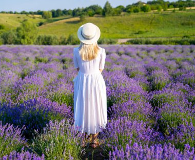 woman model in white dress outfit with hat is standing dancing in lavender field, photo session. Concept of freedom. Good picture for cover, calendar, postcard, wallpaper, background, product, website, blog, business, magazine, shop and store