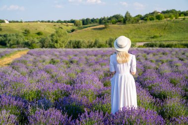 woman model in white dress outfit with hat is standing dancing in lavender field, photo session. Concept of freedom. Good picture for cover, calendar, postcard, wallpaper, background, product, website, blog, business, magazine, shop and store