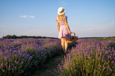 stylish beautiful young woman with hat on, wearing lilac dress, holds wooden basket with flowers in a lavender field. Concept of beauty and happiness. Matching colors trend lilac and violet.