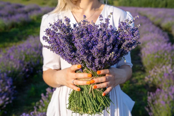 close-up hands of a woman holding purple lavender flowers bouquet. young girl hand manicure with engagement diamond ring, on the background of a purple lavender field