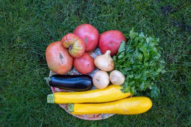 plate of fresh ripe vegetables: tomato, cucumber, onion, zucchini, courgette, eggplant, parsley at home. Early harvest on market. Concept of healthy eating lifestyle diet nutrition. 