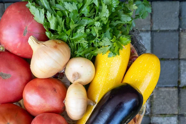 Plate Fresh Ripe Vegetables Tomato Cucumber Onion Zucchini Courgette Eggplant —  Fotos de Stock