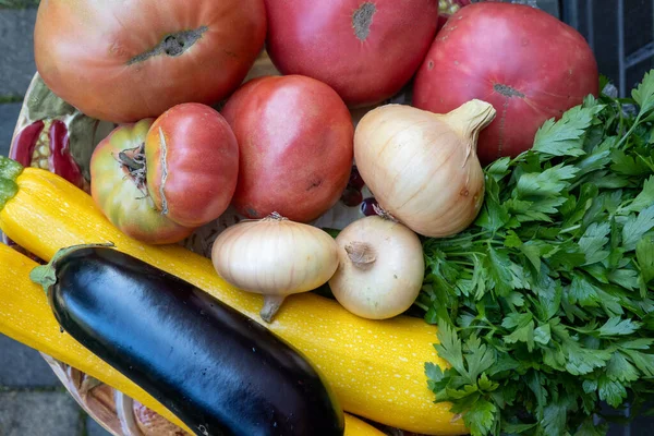 Plate Fresh Ripe Vegetables Tomato Cucumber Onion Zucchini Courgette Eggplant —  Fotos de Stock