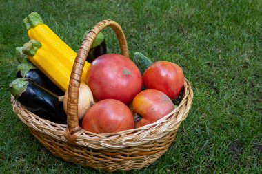 wicker wooden basket full of fresh ripe vegetables: tomatoes, cucumbers, onion, zucchini, squash, eggplant on a green grass. Early harvest on the market. Concept of healthy eating lifestyle diet nutrition. Consumer basket