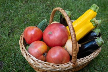 wicker wooden basket full of fresh ripe vegetables: tomatoes, cucumbers, onion, zucchini, squash, eggplant on a green grass. Early harvest on the market. Concept of healthy eating lifestyle diet nutrition. Consumer basket
