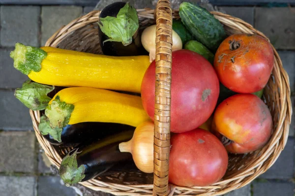 Wicker Wooden Basket Full Fresh Ripe Vegetables Tomato Cucumber Onion —  Fotos de Stock