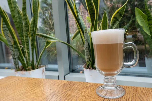 Latte Foam Transparent Glass Wooden Table Cafeteria Plants Indoors Cozy — Foto de Stock