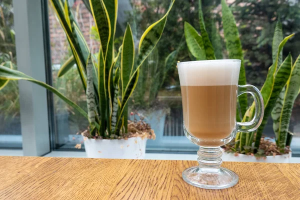 Latte Foam Transparent Glass Wooden Table Cafeteria Plants Indoors Cozy — Stok fotoğraf