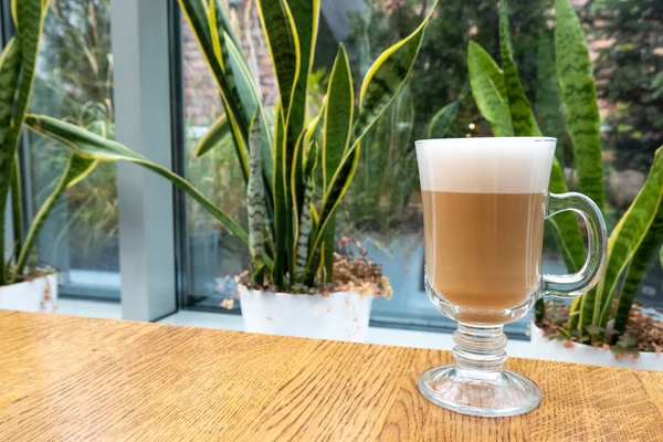 Latte Foam Transparent Glass Wooden Table Cafeteria Plants Indoors Cozy — Photo