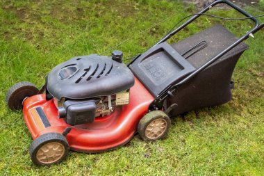 handsome man is cutting the lawn, process to cut the grass at the yard with special machine lawn mover, green garden
