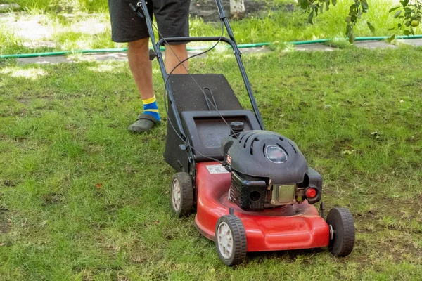 handsome man is cutting the lawn, process to cut the grass at the yard with special machine lawn mover, green garden