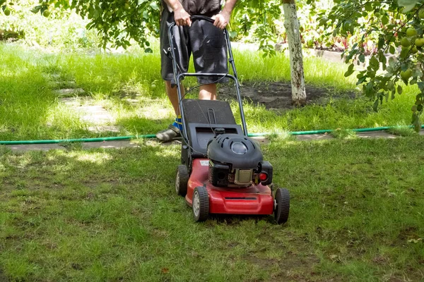 Handsome Man Cutting Lawn Process Cut Grass Yard Special Machine — Fotografie, imagine de stoc