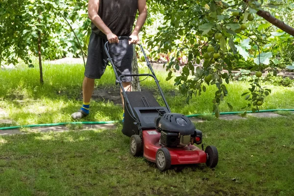Handsome Man Cutting Lawn Process Cut Grass Yard Special Machine —  Fotos de Stock