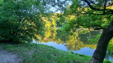 beautiful view of the lake in the forest, trees reflecting in the water, landscape and tranquility. Good picture for cover, calendar, postcard, wallpaper, background, product, website, blog, business, magazine, shop and store