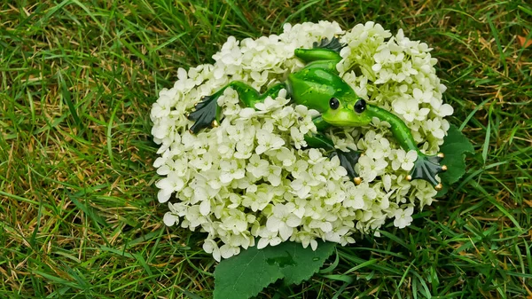 green frog statue figure in the garden on the hydrangea flower