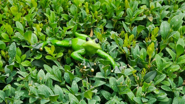 Green Frog Statue Figure Garden Green Bush — Stock Photo, Image