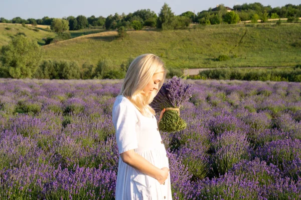 young woman with long blonde hair wearing a white cotton dress standing in violet lavender field. She is pregnant, expecting baby. Happy pregnancy, future mother, motherhood. Purple lavender bouquet flower in hand.