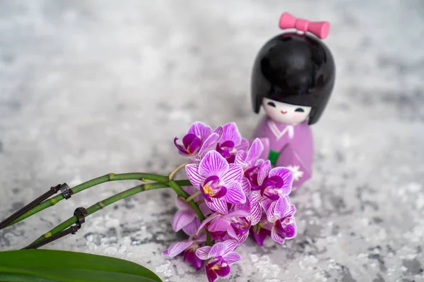 Chinese Japanese Asian Doll Kimono Purple Beautiful Orchid Flowers Gray — Stockfoto