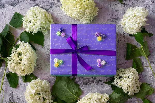 Hydrangea Flower Purple Color Gift Box Violet Ribbon Bow Grey — Fotografia de Stock