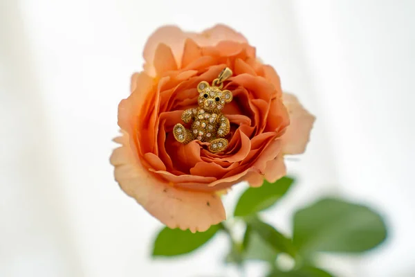 blur background, close up of gold teddy bear on beautiful peach rose flower, proposal gift idea, will you marry me, valentines declaration of love, kids accessories jewelry
