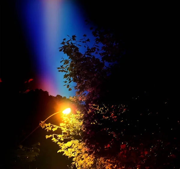 Beautiful Sky Light Street Light — Foto Stock