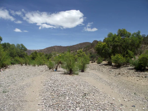 Oaxaca, Meksika 'daki nehre giden taş yol, ağaçlar ve doğa.