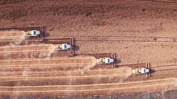 Vista Aérea Tractor Pôr Sol Que Atravessa Campo Plantação Novas — Vídeo de Stock