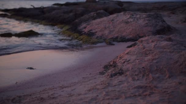 Solnedgång Stranden Efter Solnedgången Himlen Stranden Röd Himmel Och Havsvågor — Stockvideo