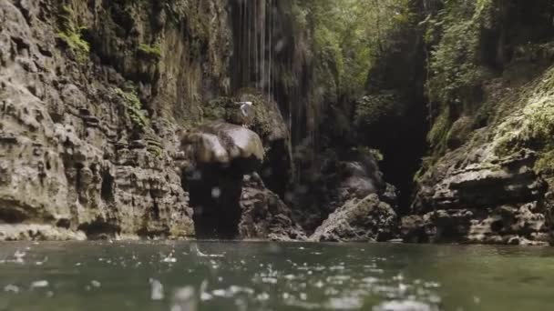 Ung Äventyrare Hoppar Vattnet Från Klippa Sjön Skogen — Stockvideo