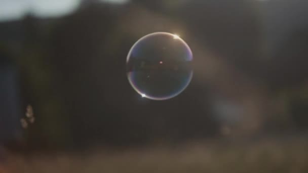 肥皂泡沫缓慢地漂浮在空气中 — 图库视频影像