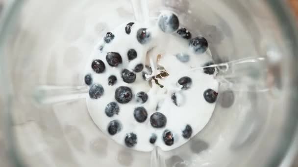 Blender Blueberry Mint Yogurt Sport — стоковое видео