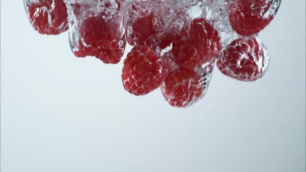 Φράουλες Πέφτουν Στο Νερό Λευκό Φόντο — Αρχείο Βίντεο