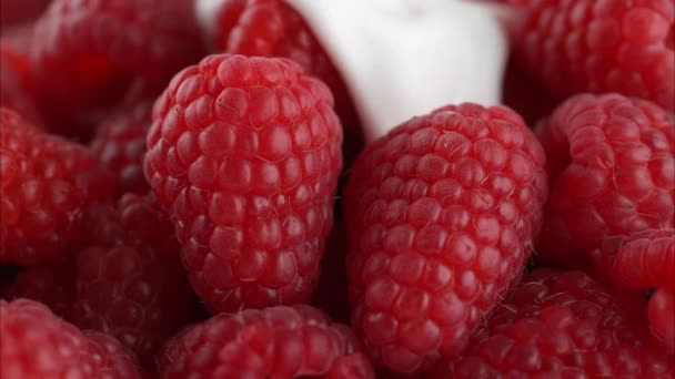 Γιαούρτι Ρέει Πάνω Από Raspberriesraspberry Φρέσκα — Αρχείο Βίντεο