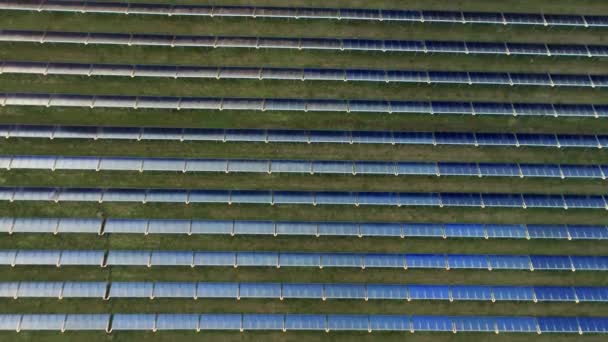 Ökologie Solarkraftwerk Den Bereichen Grüne Energie Elektrische Innovation Natur Umwelt — Stockvideo