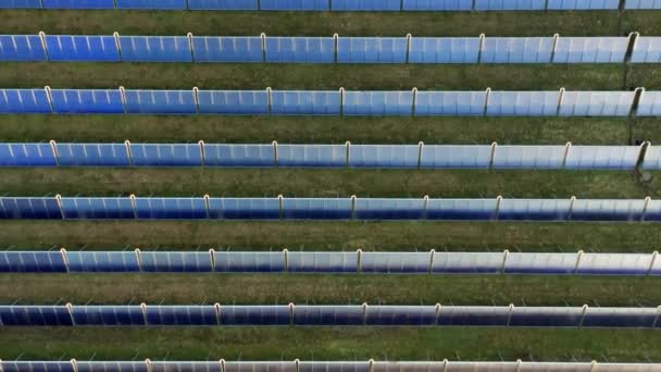エコロジー分野での太陽光発電所グリーンエネルギー電気革新自然環境空中ドローン映像 太陽光パネル生態学 イノベーション — ストック動画