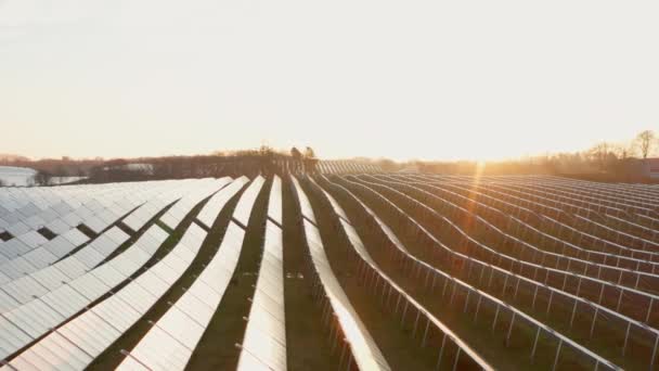 Ekologia Elektrownia Słoneczna Polach Zielona Energia Elektryczna Innowacja Środowisko Naturalne — Wideo stockowe