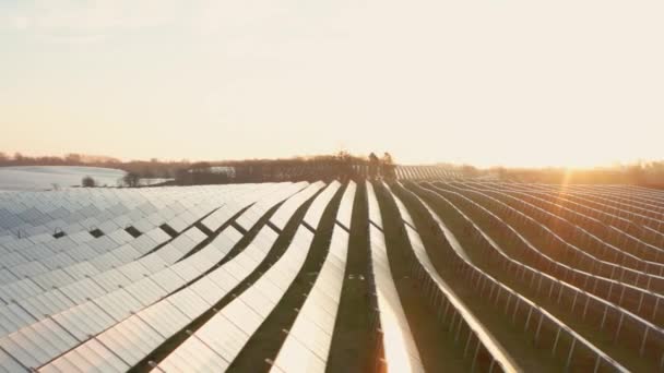 エコロジー分野での太陽光発電所グリーンエネルギー電気革新自然環境空中ドローン映像 太陽光パネル生態学 イノベーション — ストック動画