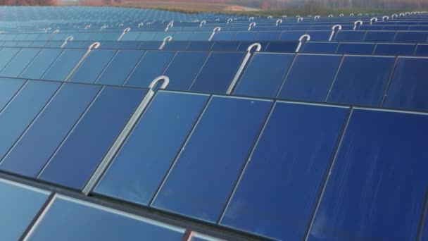 Ökologie Solarkraftwerk Den Bereichen Grüne Energie Elektrische Innovation Natur Umwelt — Stockvideo