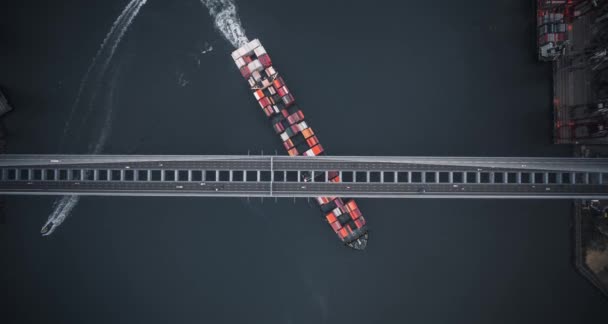 Контейнерний Корабель Проходить Під Великим Мостом Рухаються Автомобілі Корабель Перевозить — стокове відео
