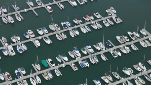 Grande Porto Com Barcos Vista Superior — Vídeo de Stock