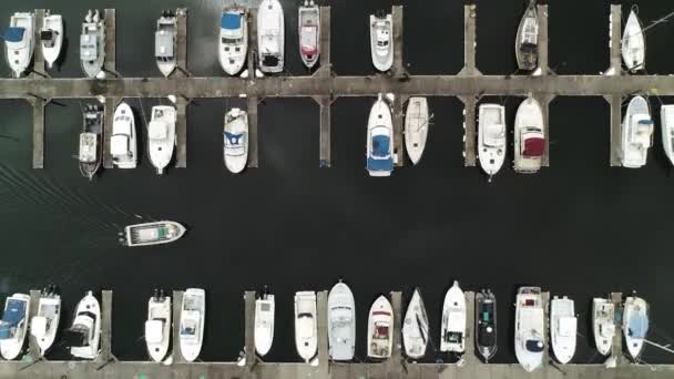 Großer Hafen Mit Booten Blick Von Oben — Stockvideo