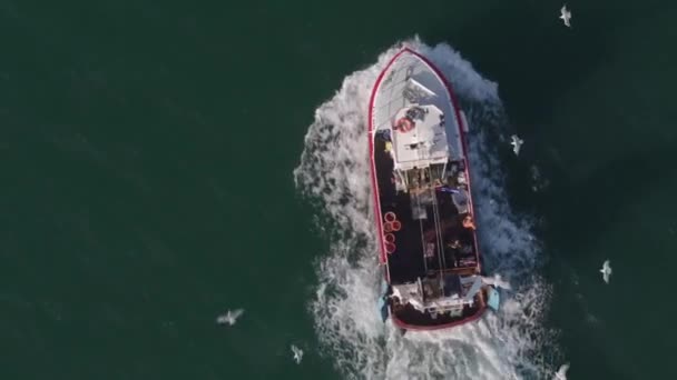 Barco Pesca Navegando Nas Ondas Azuis Oceano Tempo Ensolarado Pesca — Vídeo de Stock