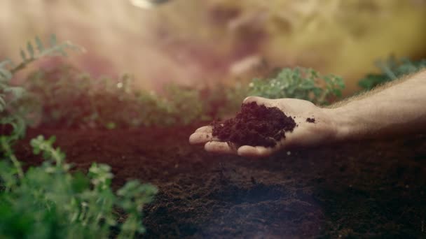 Der Landwirt Kontrolliert Die Qualität Des Bodens Die Hände Eines — Stockvideo