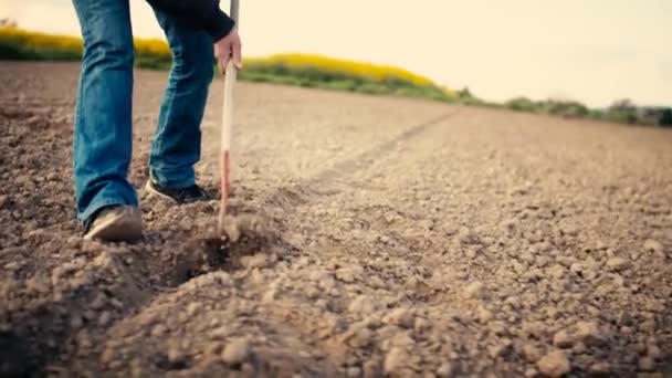 Человек Работает Поле Мужчина Выращивает Сад Мотыгой Фермер Рабочем Месте — стоковое видео