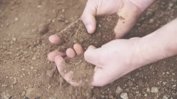 Petani Memeriksa Kualitas Tanah Tangan Seorang Petani Laki Laki Memegang — Stok Video