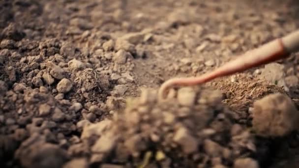 Людина Працює Полі Чоловік Вирощує Сад Мотузкою Робочому Місці Фермер — стокове відео
