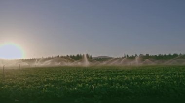Tarım sektörü - Tarladaki bitkileri sulamak için kullanılan pivot sulama, tarım, fıskiye sulama sistemi kurak mevsimde bitki yetiştirmeye, verimliliği artırmaya, toprağı sulamaya, fıskiyeleri sulamaya yardımcı olur.
