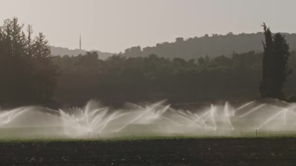 Agribusiness Irrigazione Pivot Utilizzato Innaffiare Piante Una Fattoria Agricoltura Impianto — Video Stock