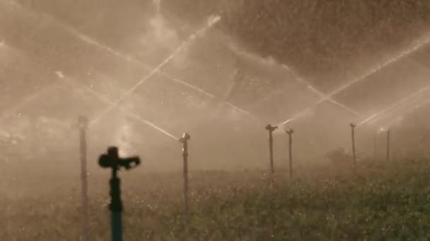 Landbouwindustrie Pivot Irrigatie Gebruikt Voor Het Water Planten Een Boerderij — Stockvideo