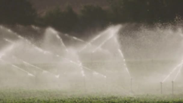 Jordbruk Pivotbevattning Används För Att Vattna Växter Gård Jordbruk Sprinkler — Stockvideo